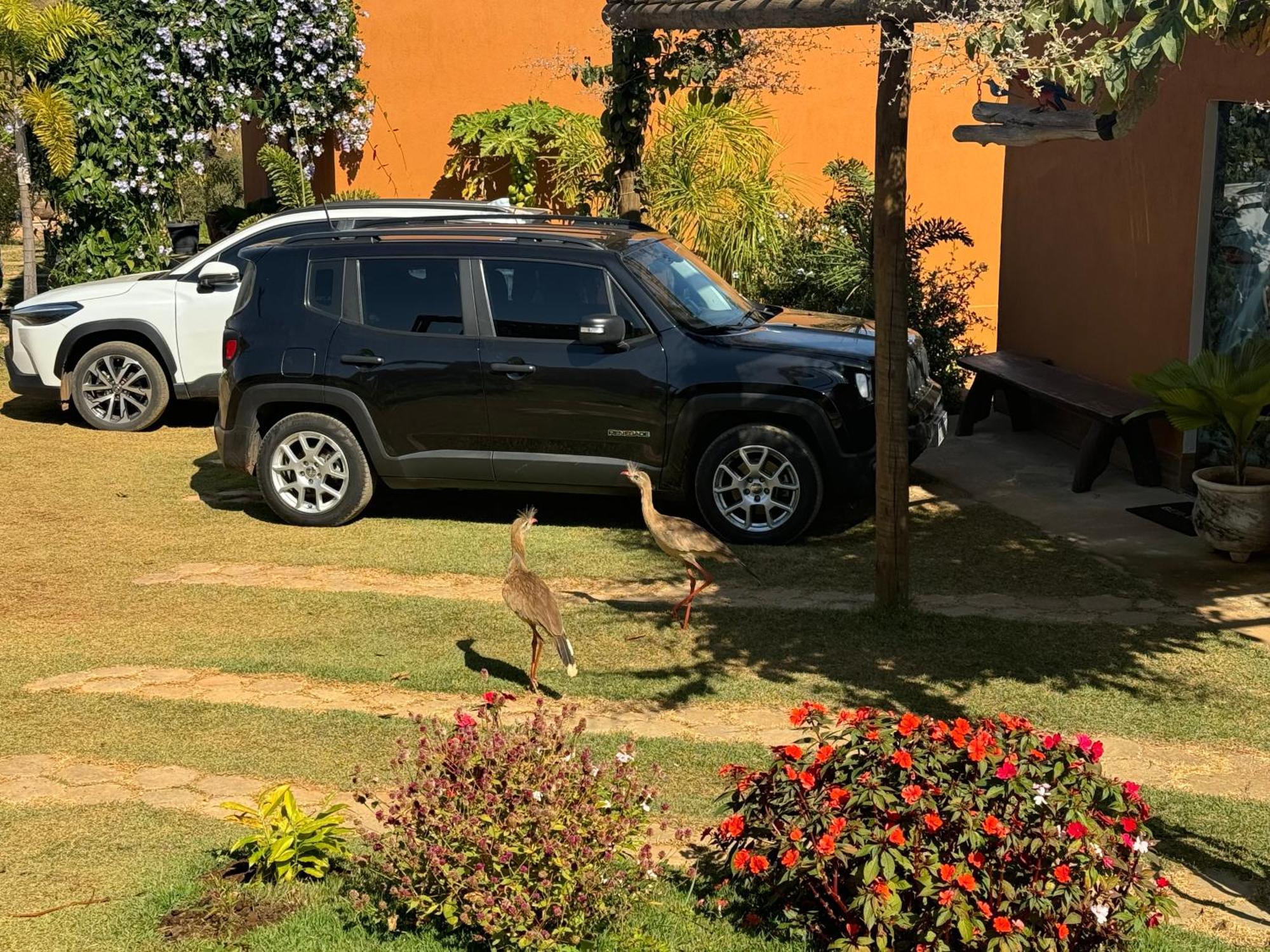 Pousada Guardia Da Canastra Vargem Bonita Luaran gambar